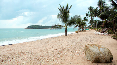 清新的热带岛屿沙滩，闪亮的大海和棕榈树
