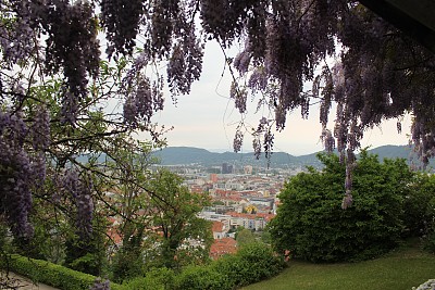 格拉茨的老城之一，景色与市花融为一体