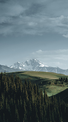 高山