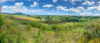 图图考路和热探测高速路或5号高速路到新西兰奥拉基科拉科地热公园的景色