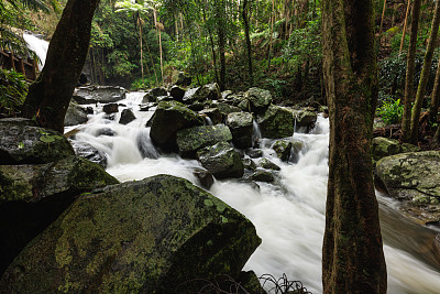 暴雨后澳大利亚热带雨林中湍急的溪流