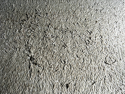 白地毯:用作纹理或背景的脏白色地毯