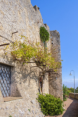 托斯卡纳-中世纪卡帕尔比奥城墙