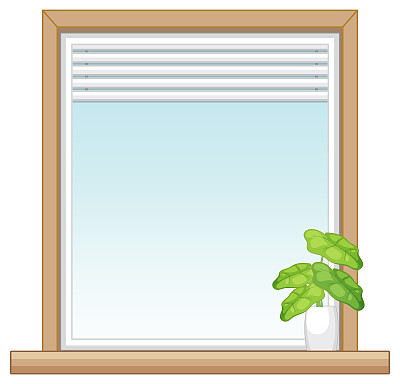 窗户:用于公寓或房屋外立面的窗户