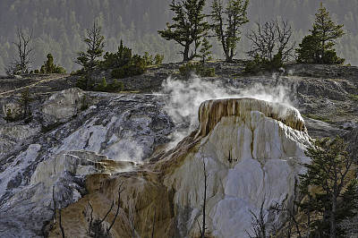 怀俄明州黄石国家公园猛犸温泉的新高地露台温泉。带蒸汽的石灰华露台。碳酸钙结构。