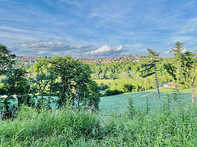 山村