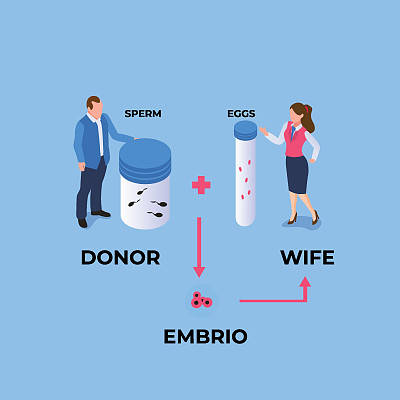 捐献卵子和精子。捐精者和精子银行的三维等距