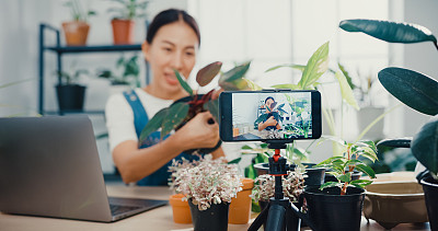 一名年轻的亚洲女性在树木商店用手提电脑接收订单，并在早上通过电话直播植物录制视频。