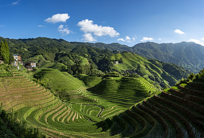 龙胜梯田