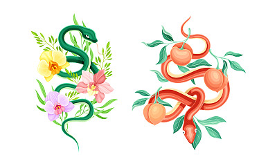 优雅的蛇盘绕美丽的盛开的兰花和桃果枝矢量集
