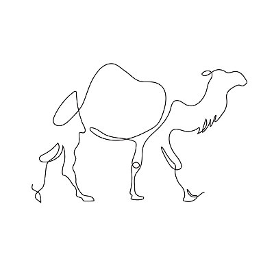 骆驼是用一条线画的。简约的图形。连续的线。