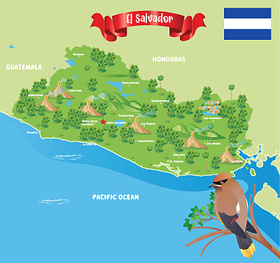 萨尔瓦多,雪松蜡翼
(家蚕) 萨尔瓦多,雪松蜡翼
(家蚕)