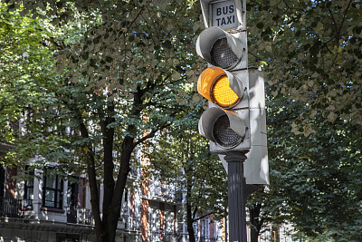 绿树成荫的城市街道上的琥珀色交通灯