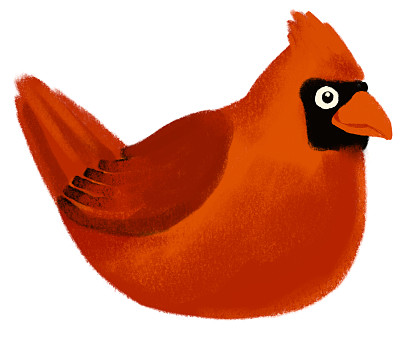 愤怒的小鸟真红红衣主教鸣鸟卡通粉笔画插图