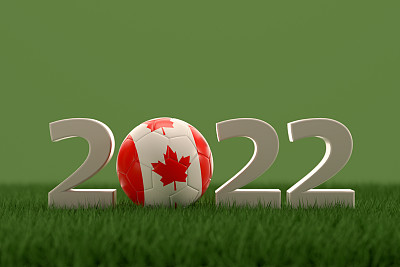 草地上插着加拿大国旗的足球