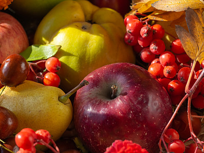 秋天静物有成熟的水果和浆果。