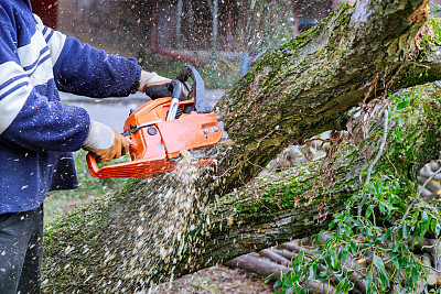 由于一场飓风风暴，一名工人用电锯锯倒倒在柏油路上的树木