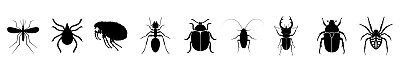昆虫的图标集。各种昆虫的剪影。矢量插图。