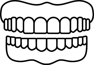 牙齿颚概念，下颚和上颚与牙龈线矢量轮廓图标设计，器官系统符号，人体解剖学标志，人体部分库存插图