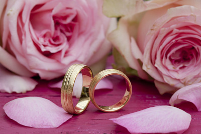 两个金婚戒指被粉色玫瑰包围的特写镜头