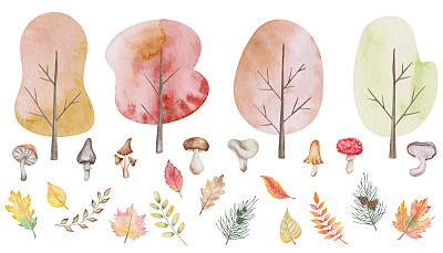 水彩画的手绘树与叶子，蘑菇，香菇，蝇草，真菌。森林，林地，公园植物