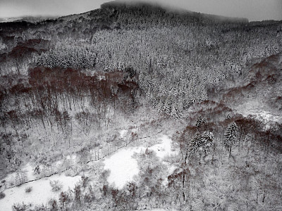 空中拍摄的森林被雪覆盖的负面效果-黑暗神秘的恐怖概念