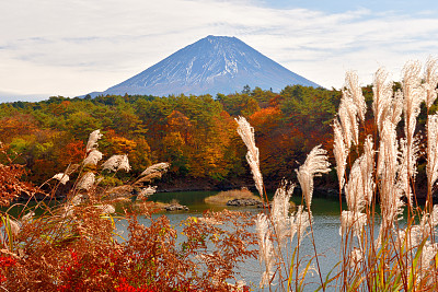 富士山五湖的秋叶颜色:正二湖