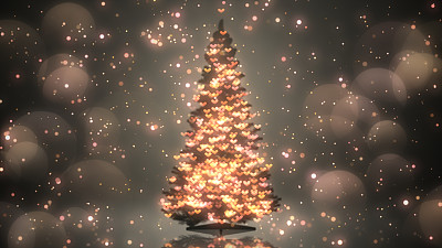 有彩灯的圣诞树
