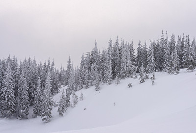 大风雪