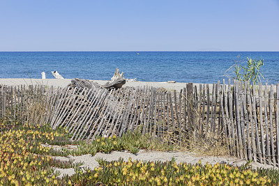 Plage d'Alèria on the French island of Corsica