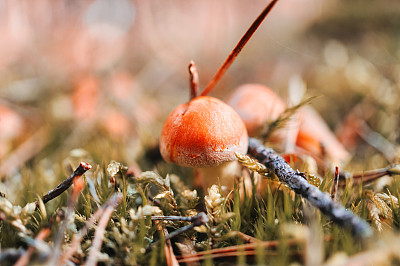 生物学