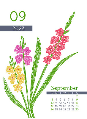 花卉日历2023年。9月。剑兰植物插图。砑光机设计。手绘矢量笔或记号笔