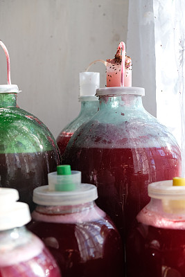 玻璃瓶。用于葡萄酒发酵的带气锁的塑料盖。果蝇或酒蝇。酿酒的背景。
