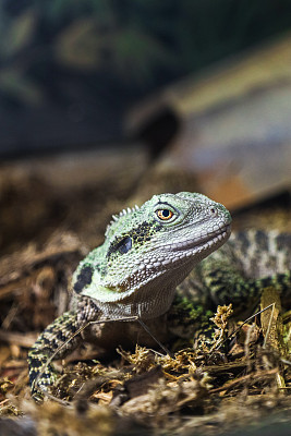 生物学