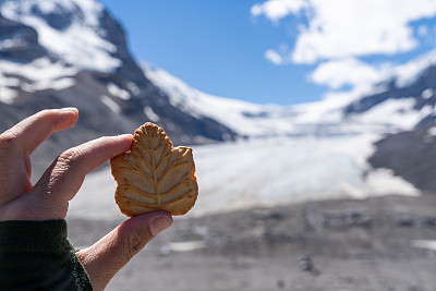 Athabasca Glacier