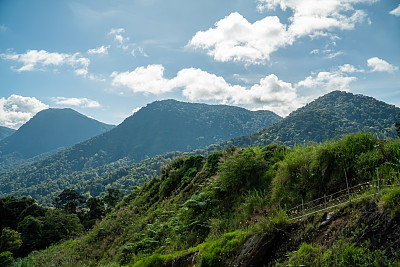 美妙的夏日山景.农村的风景.森林山谷景观.蓝岭山脉.