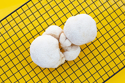 鸡油菌