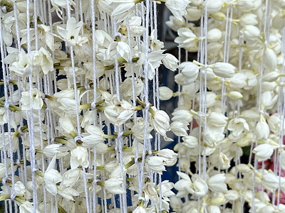 全画幅图片，挂着白色的花环，茉莉花准备在市场摊位上出售，花头穿在绳子上，重点在前景
