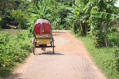 孟加拉国乡村道路上的人力车