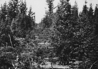 1919年，加拿大萨斯喀彻温省彼得·巴兰坦克里族国家保护区边界的森林切割线