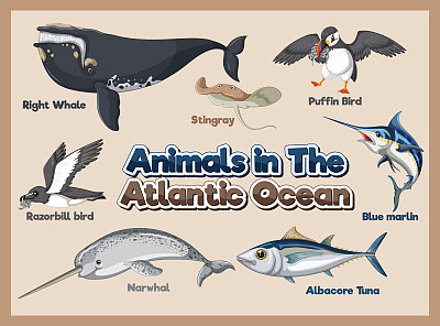 大西洋动物集