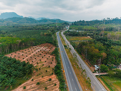 泰国棕榈油种植园道路的鸟瞰图