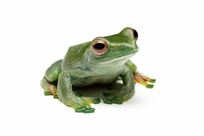 坐