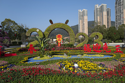 中国新年装饰花