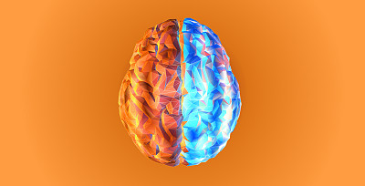 彩色大脑半球活动功能概念说明