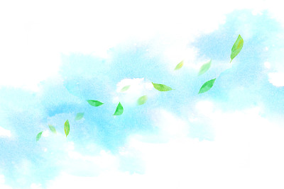 年轻的叶子在蓝天和风中跳舞(清新的图像)白色的背景
