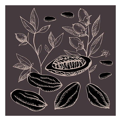 Cocoa set. Hand drawn sketch vector Cocoa beans, leaves sketch and Cocoa tree. Organic product. Doodle sketch for café, shop, menu. Plant parts. For label, logo, emblem, symbol.