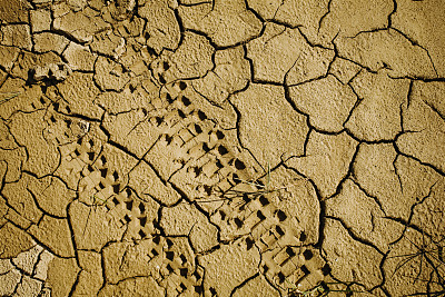 全球变暖导致意大利严重干旱
