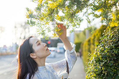 年轻女子在日落时分抚摸含羞草