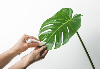 清洁器材